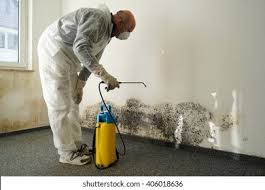 Why You Should Choose Our Mold Remediation Services in Bolinas, CA